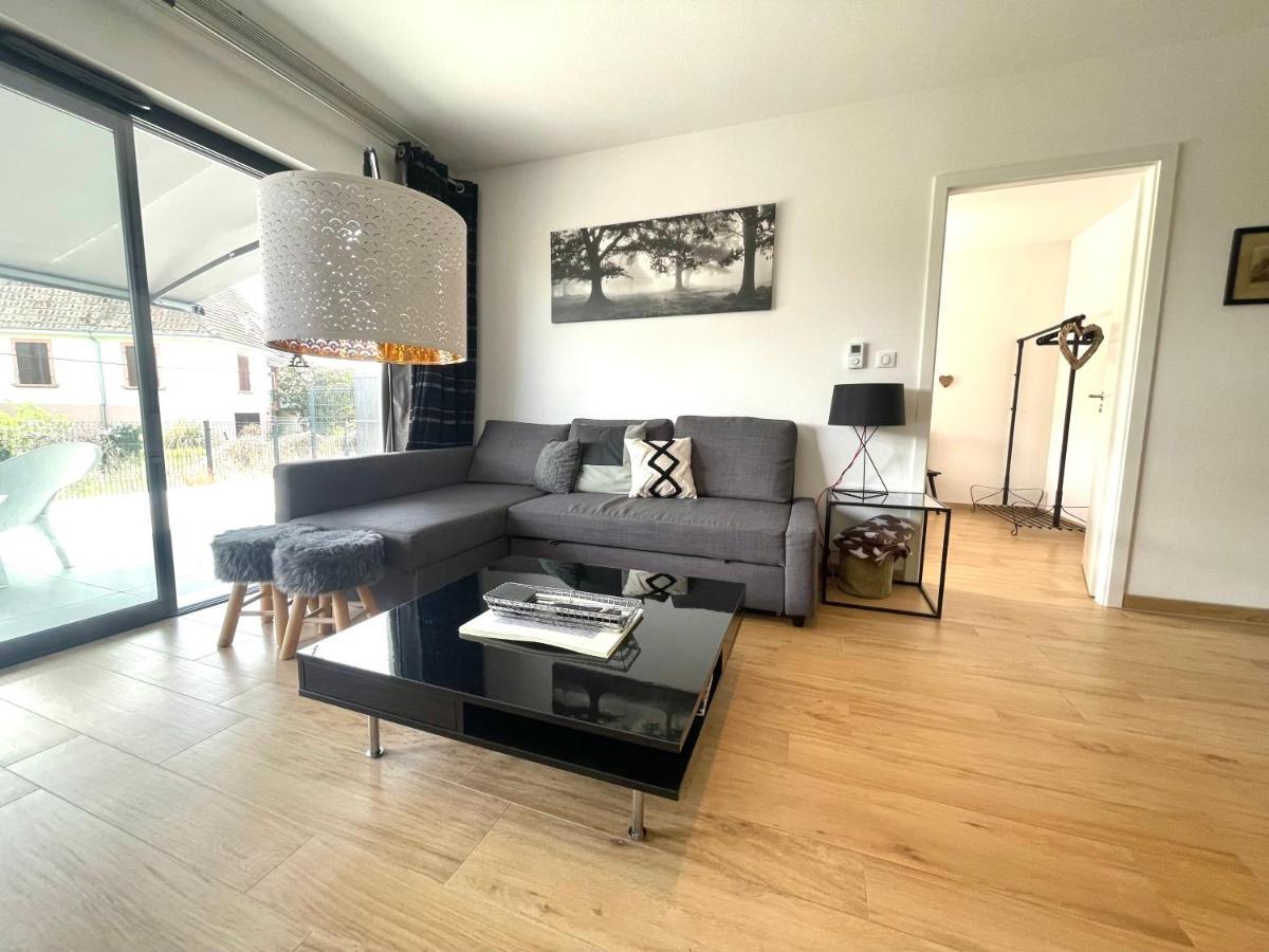 Magnifique 2 pièces, tout équipé, terrasse privée Colmar Esterno foto